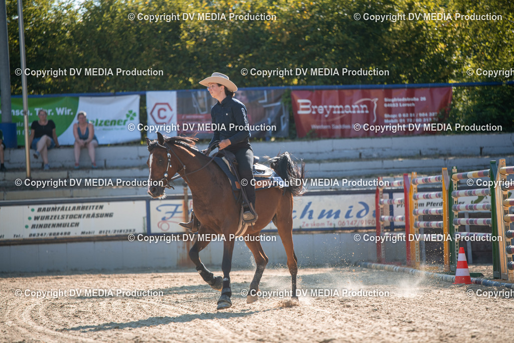 EWP_7028 | dv-media-shop - Realisiert mit Pictrs.com