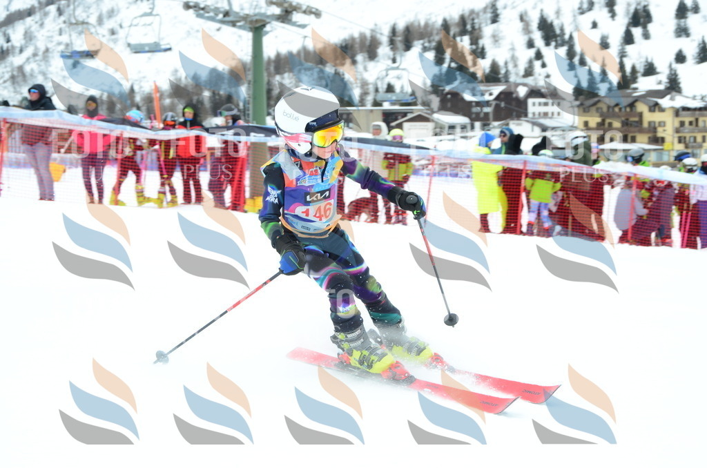 DSC_1435 | holidayphoto