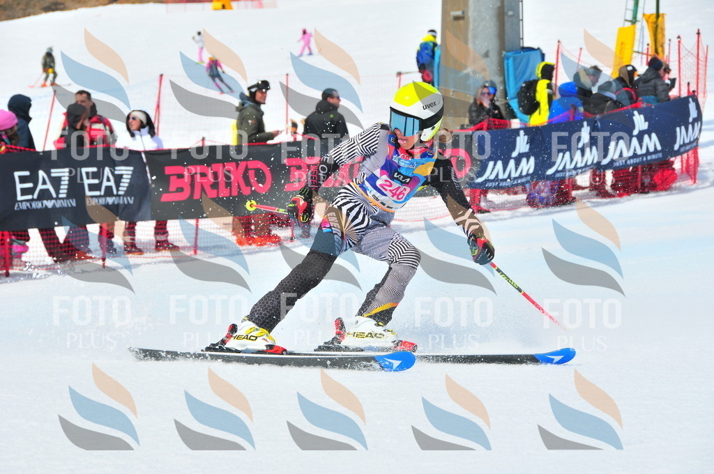 DSC_6045 | holidayphoto