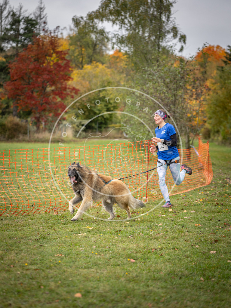 Pfotenfotografie_DV3A2698 | Hundefotografie, Tierfotograf, Pfotenfotografie, Fotoshooting Hund, Hunde Portrait, Hundesport, Hundeportraits, Heideshooting, Hunde, Sportfotograf, Hundefotograf, Turnierhundsport, THS,  - Realisiert mit Pictrs.com