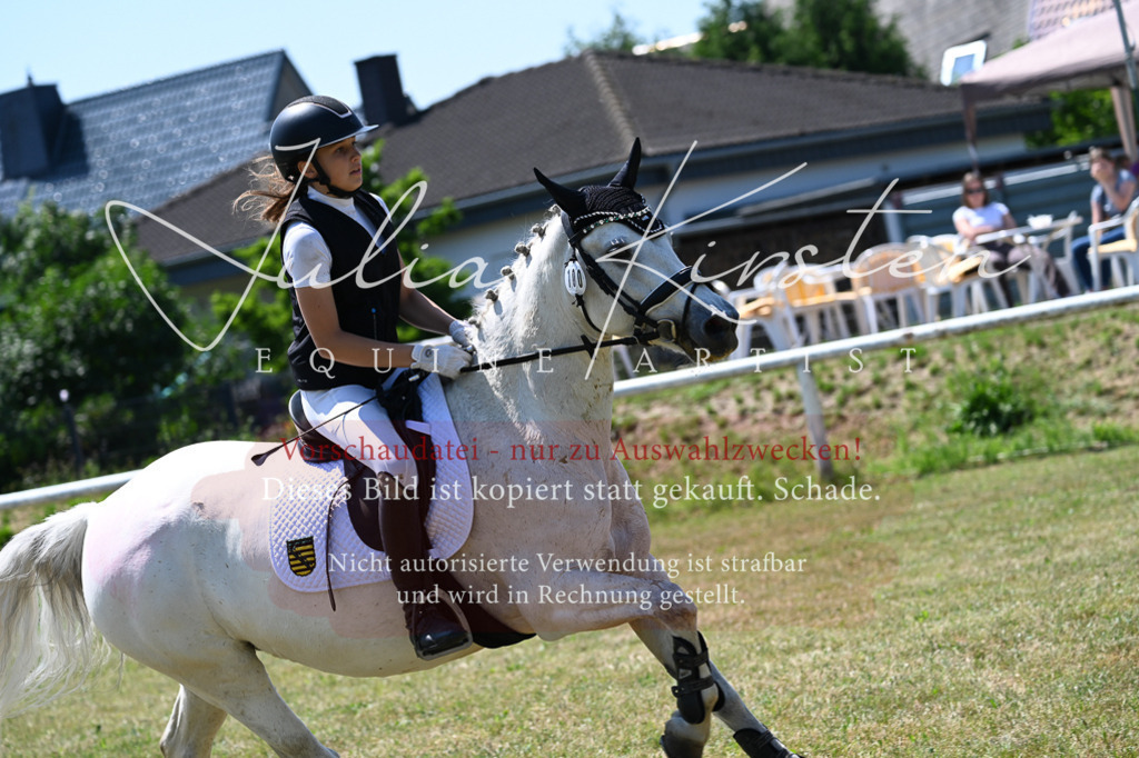 DSC_0850 | Pferde- und Turnierfotografie in Westsachsen. Pferdeportraits, Auftragszeichnungen und intuitive Kunst.