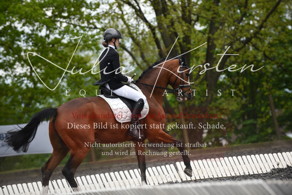 20230513_JK-Röhrsdorf-16-105 | Pferde- und Turnierfotografie in Westsachsen. Pferdeportraits, Auftragszeichnungen und intuitive Kunst.