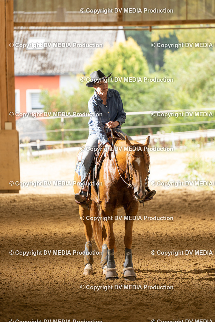 LAU01700 | dv-media-shop - Realisiert mit Pictrs.com