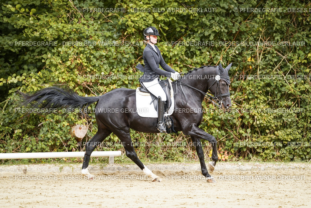 DSC03541 | Pferdegrafie