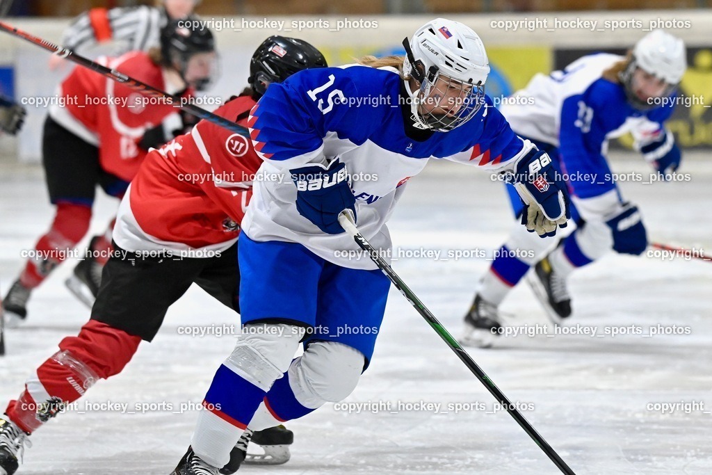 BST_3443 | hockey sports photos, Pressefotos, Sportfotos, hockey247, win 2day icehockeyleague, Handball Austria, Floorball Austria, ÖVV, Kärntner Eishockeyverband, KEHV, KFV, Kärntner Fussballverband, Österreichischer Volleyballverband, Alps Hockey League, ÖFB, 