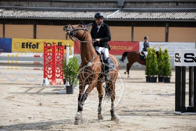 2B4A1404 | pixelfaenger - Realisiert mit Pictrs.com