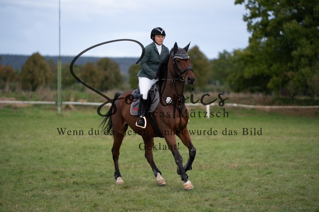 A7V06342 | Pferdefotograf