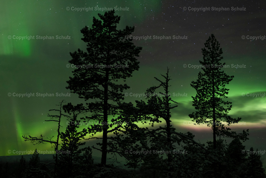 Polarlichter (Aurora Borealis) | Polarlichter im Pallas-Yllästunturi-Nationalpark, Lappland, Finnland.  - Realisiert mit Pictrs.com