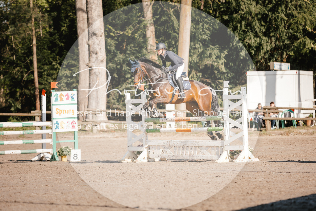 3I6A3660 | Stimmungsvolle Portraits und Reitsportfotografie im Ruhrgebiet und im Münsterland.

Pferdefotografie, Hundefotografie, Tierfotografie, Reportagen, Portraits von Tier und Mensch, Turnierfotografie in Bochum, Recklinghausen, Marl, Haltern am See, Dülmen.. - Realisiert mit Pictrs.com