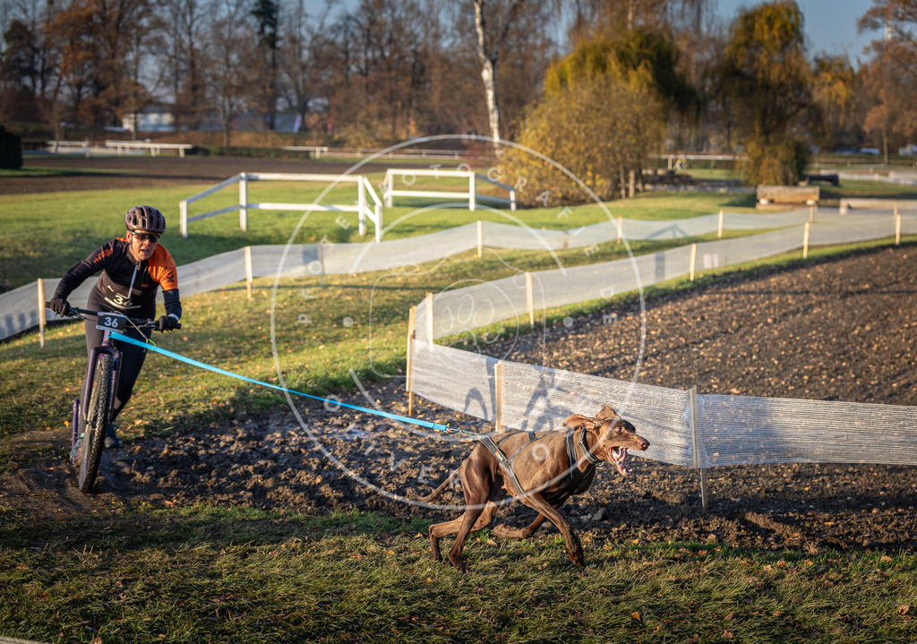 CaniXpix_DV3A0117 | Hundefotografie, Tierfotograf, Pfotenfotografie, Fotoshooting Hund, Hunde Portrait, Hundesport, Hundeportraits, Heideshooting, Hunde, Sportfotograf, Hundefotograf, Turnierhundsport, THS,  - Realisiert mit Pictrs.com