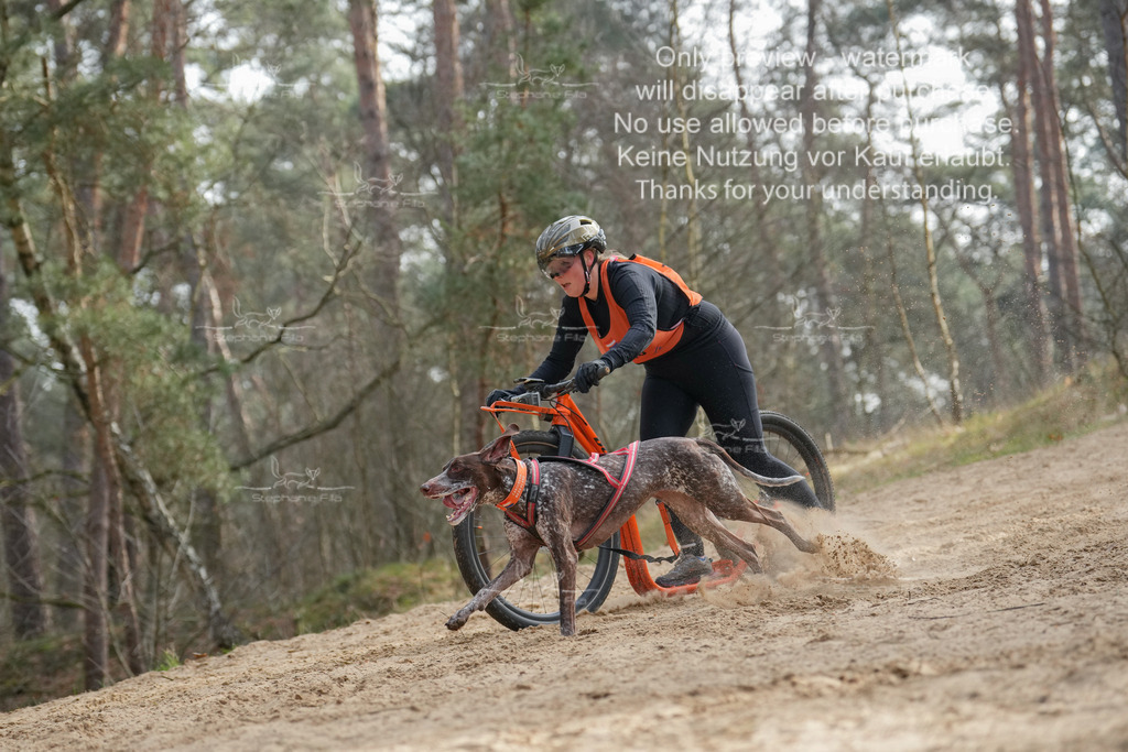 Scooter2-19 | stephaniefillaphotographie - Realisiert mit Pictrs.com