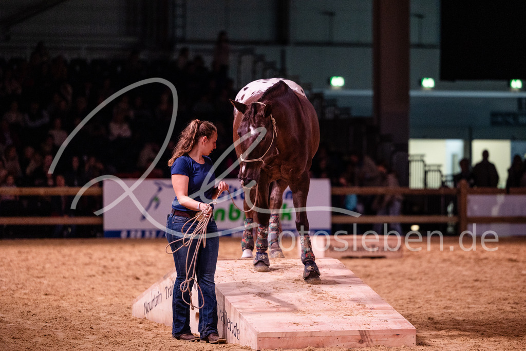 846A8317 | fotosleben - Realisiert mit Pictrs.com