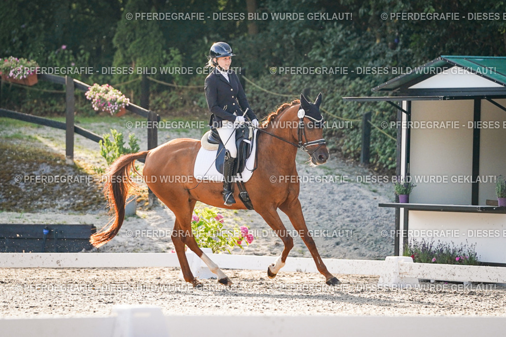 DSC08090 | Pferdegrafie