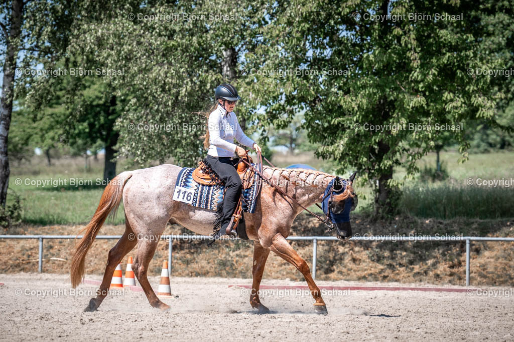 LOE03686 | BS-foto