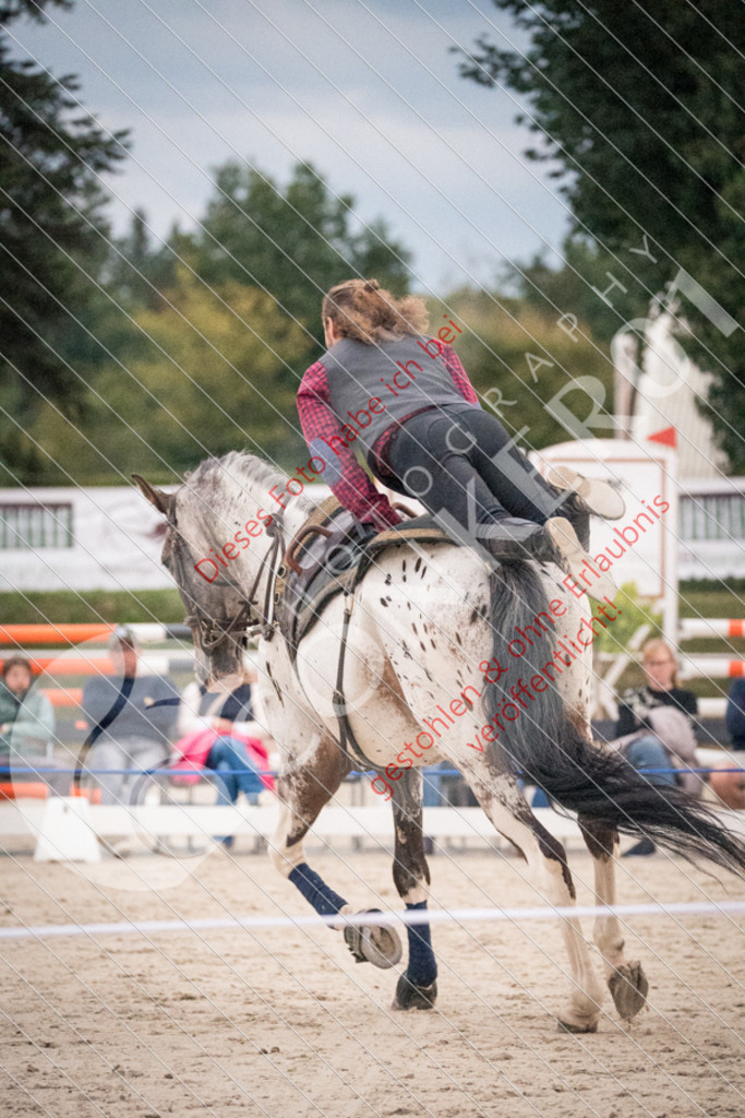 DSC_0096 | Sport-, Event- und Tierfotos in Profiqualität. Einfach auswählen, bestellen und herunterladen. Dein Moment – perfekt festgehalten.