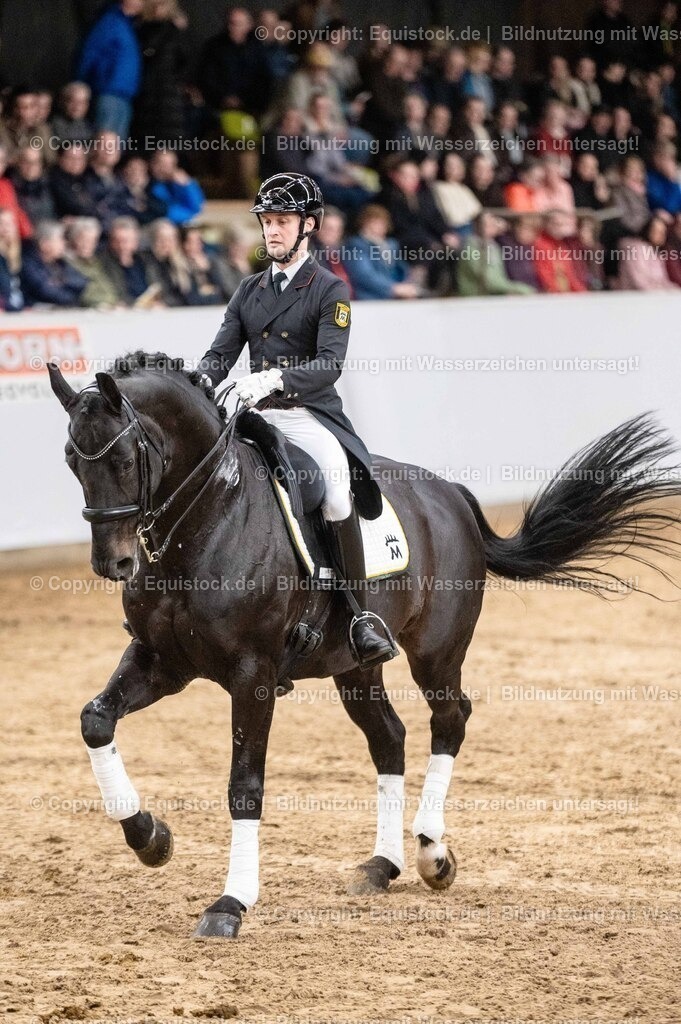 20260307_Hengstvorstellung-Marbach_0520 | equistock