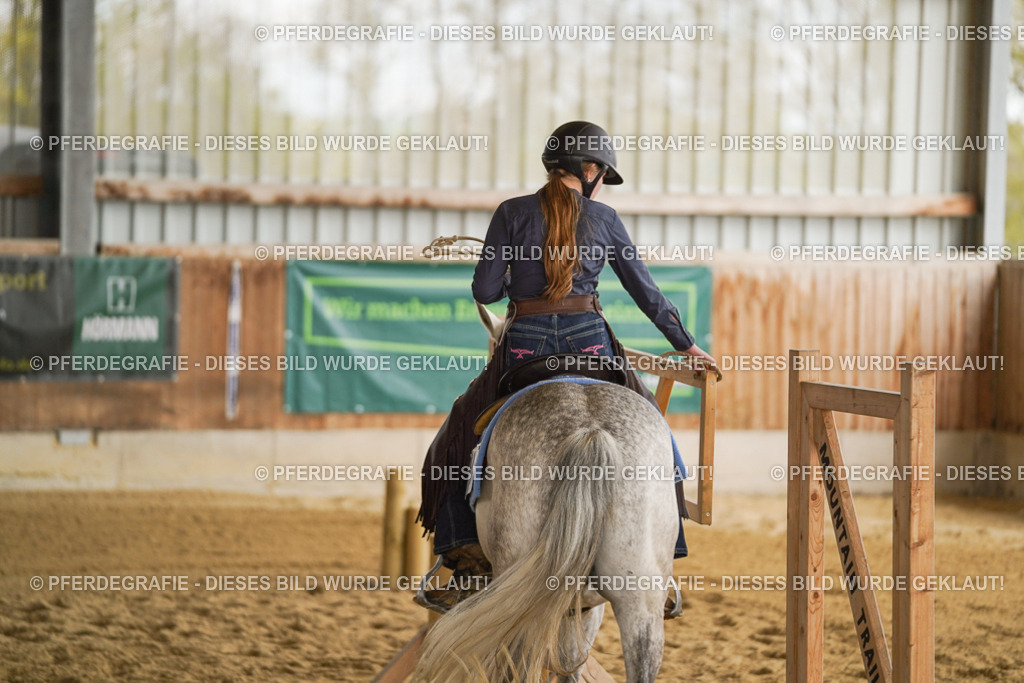 DSC05480 | Pferdegrafie