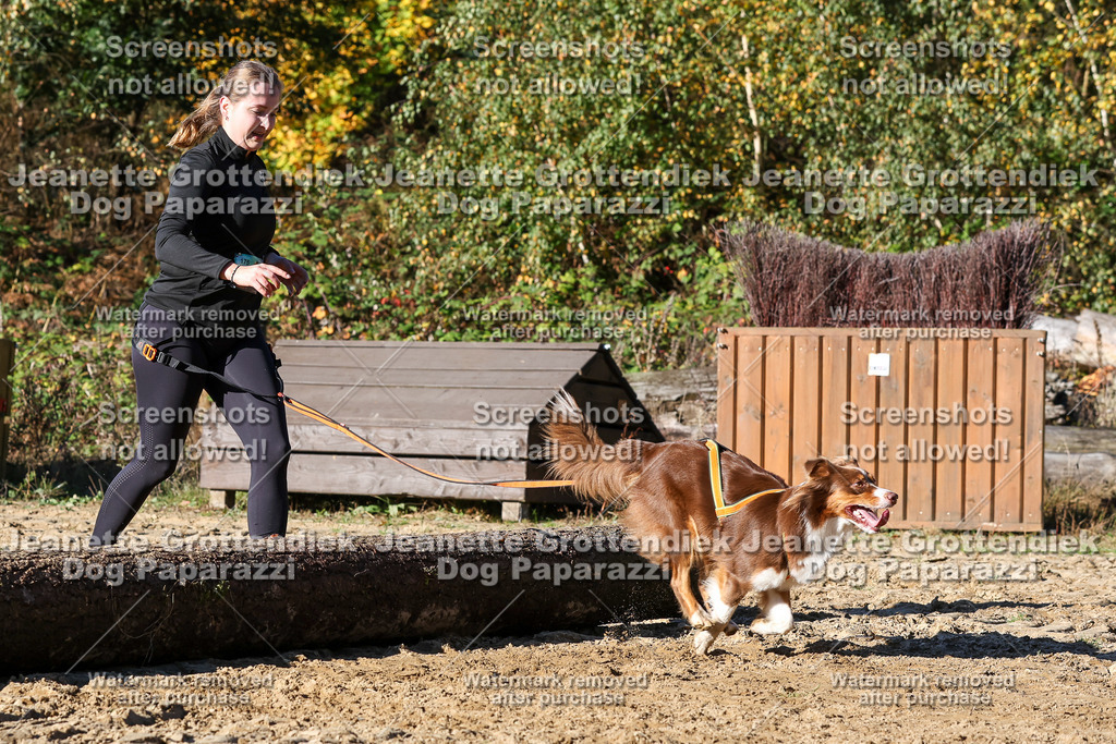 Dog Paparazzi - Strongdog 10-25-2170 | Dog Paparazzi Jeanette Grottendiek Fotografie & Videografie - Realisiert mit Pictrs.com