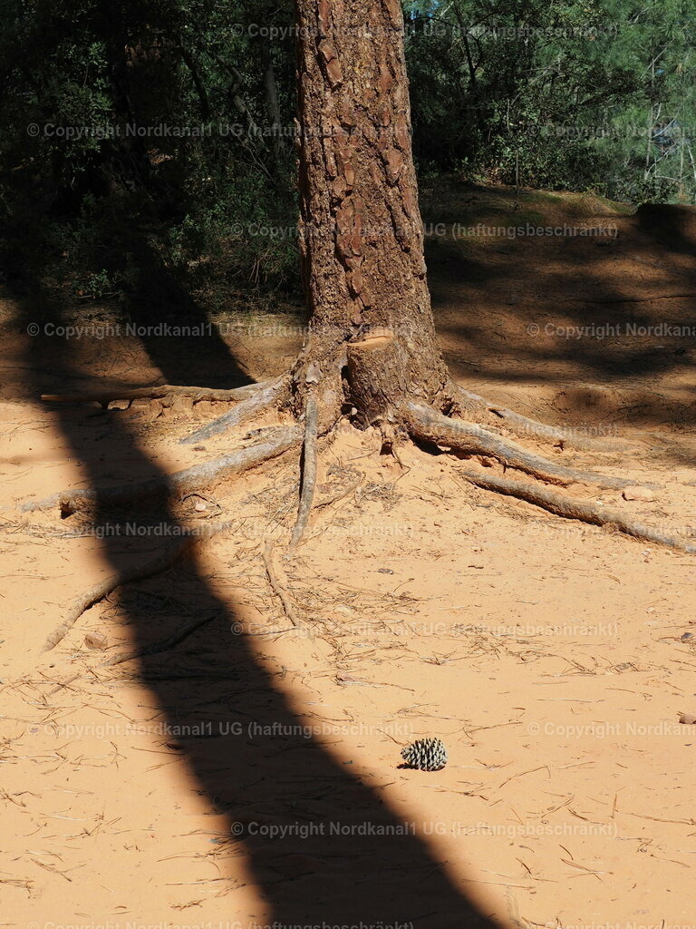 IMG_2943 | OLYMPUS DIGITAL CAMERA          - Realisiert mit Pictrs.com