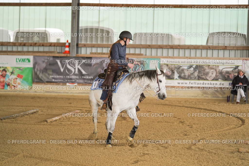 DSC05487 | Pferdegrafie