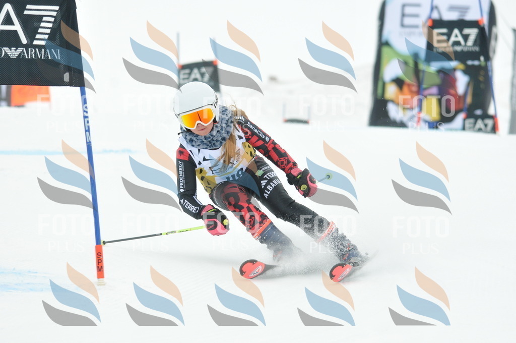 DSC_8204 | holidayphoto