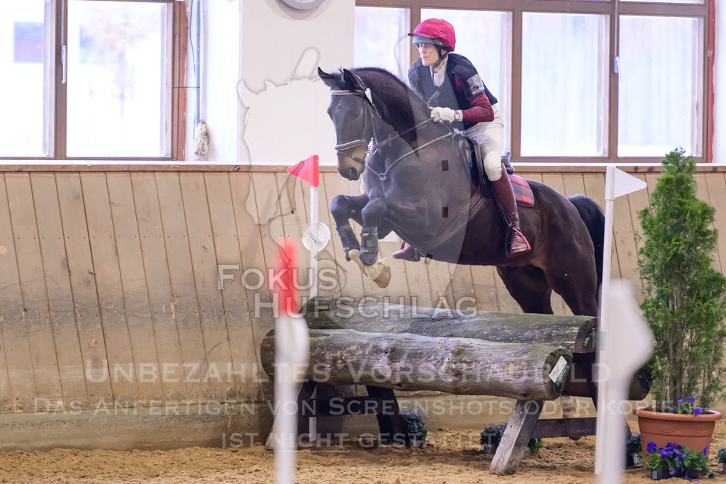 29032026-Schwaiganger-Prfg03-2-0918 | Fokus Hufschlag Fotografie - Realisiert mit Pictrs.com