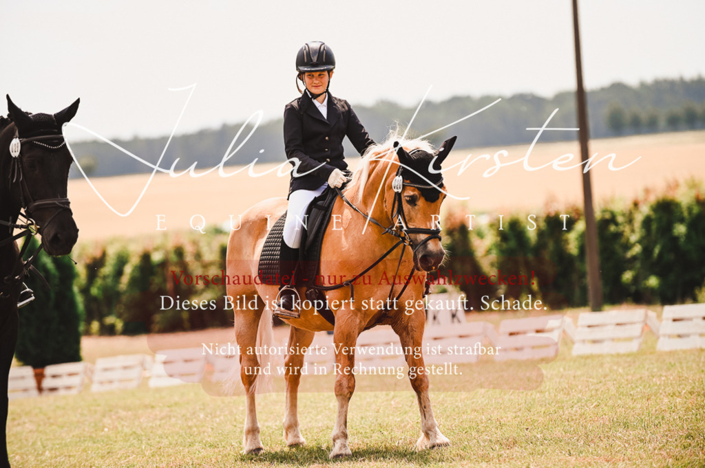 DSC_6394 | Pferde- und Turnierfotografie in Westsachsen. Pferdeportraits, Auftragszeichnungen und intuitive Kunst.