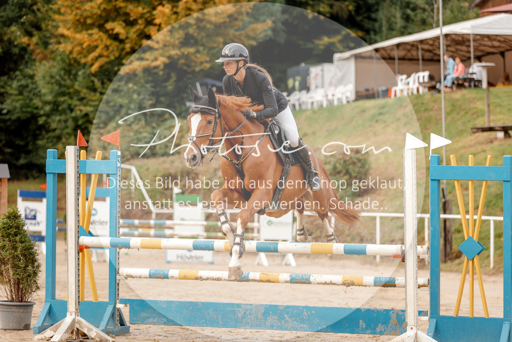 3I6A6435 | Stimmungsvolle Portraits und Reitsportfotografie im Ruhrgebiet und im Münsterland.

Pferdefotografie, Hundefotografie, Tierfotografie, Reportagen, Portraits von Tier und Mensch, Turnierfotografie in Bochum, Recklinghausen, Marl, Haltern am See, Dülmen.. - Realisiert mit Pictrs.com