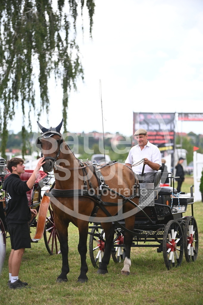 DSC_6702 | sattelsport - Realisiert mit Pictrs.com