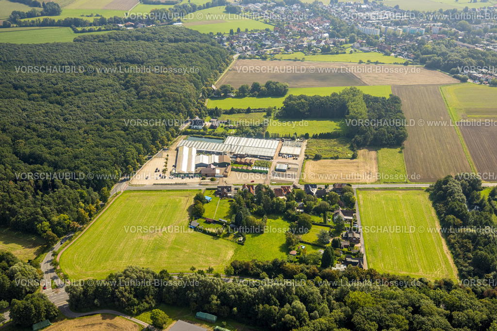 Hamm230900353 | Luftbild, Wohnsiedlung Unterer Heideweg, Blumen Bintig GmbH und Stein-Studio Inh. Werner Buchholz inmitten von Wiesen und Feldern, Stadtbezirk Rhynern, Hamm, Ruhrgebiet, Nordrhein-Westfalen, Deutschland