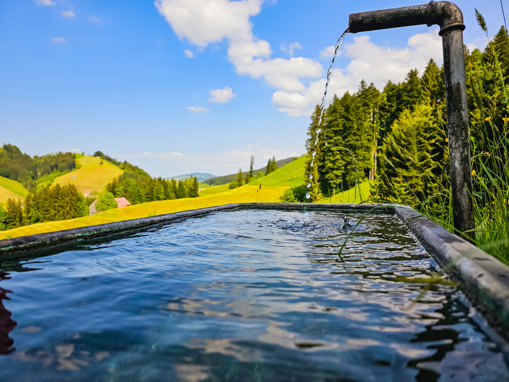 PSX_20230529_231209 | mtkfoto_ - Realisiert mit Pictrs.com