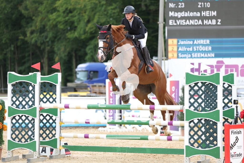 0P6A8405 | Willkommen bei Brunnmayr - Design & Fotografie – Ihrem Spezialisten für Reitturniere und Pferdeveranstaltungen in Oberösterreich, Salzburg und Bayern! Seit über 17 Jahren sind wir leidenschaftlich dabei.