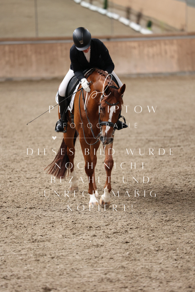 IMGM1239 | pl-fotografie