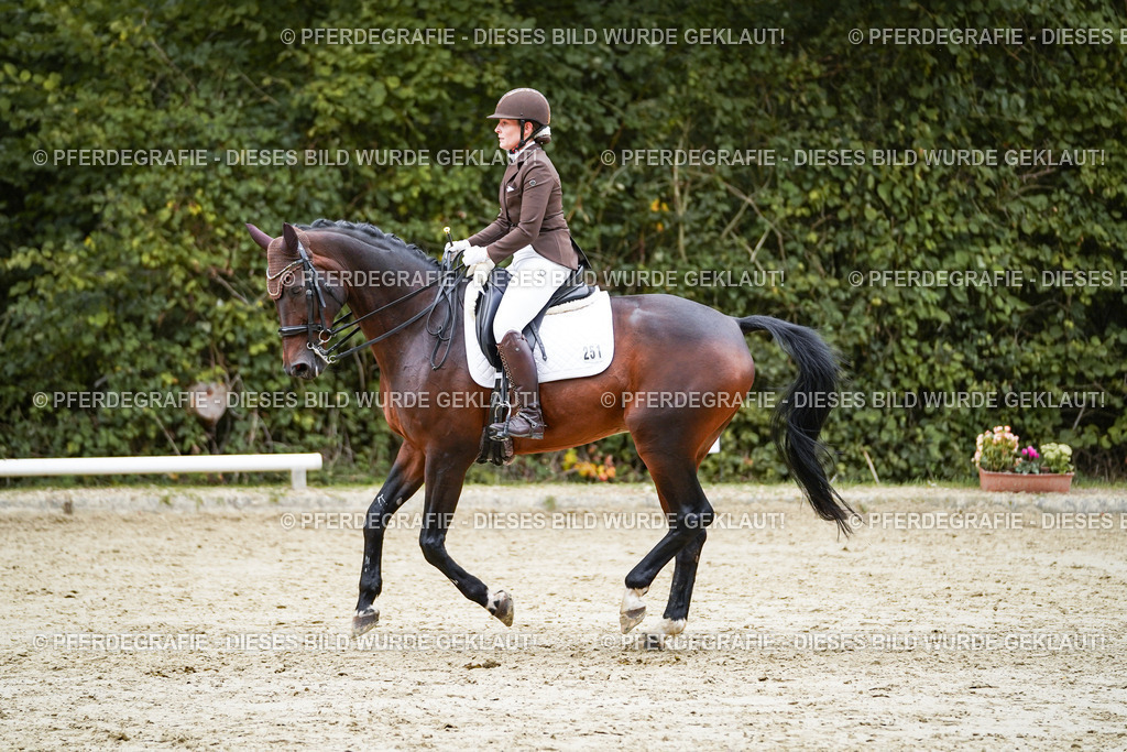 DSC01083 | Pferdegrafie