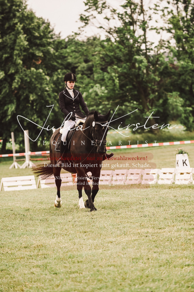 DSC_4961 | Pferde- und Turnierfotografie in Westsachsen. Pferdeportraits, Auftragszeichnungen und intuitive Kunst.