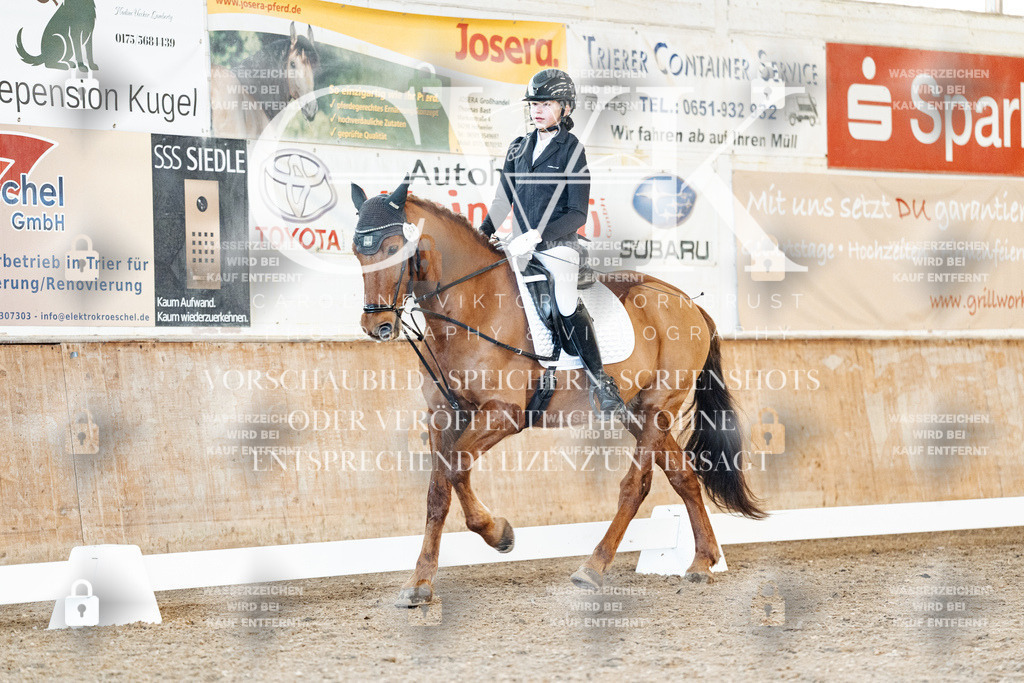 CK907790 | Turnierfotografie Pferdefotografie Trier Rheinland-Pfalz Pferdesport Reitsport Tierfotografie Sportfotografie Pferdevideo Pferdevideografie Equestrianvideography equestrianphotography  - Realisiert mit Pictrs.com