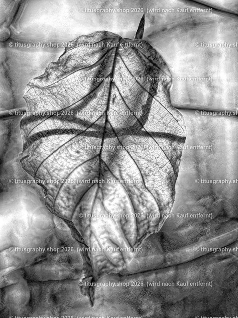 titusgraphy_P4106185-vz-ln_pe-05 | titusgraphy-shop: Geschenkideen mit Qualitätsfotos. titusgraphy-shop: gift ideas with quality photos. titusgraphy-shop: idées cadeaux avec photos de qualité.  - Realisiert mit Pictrs.com