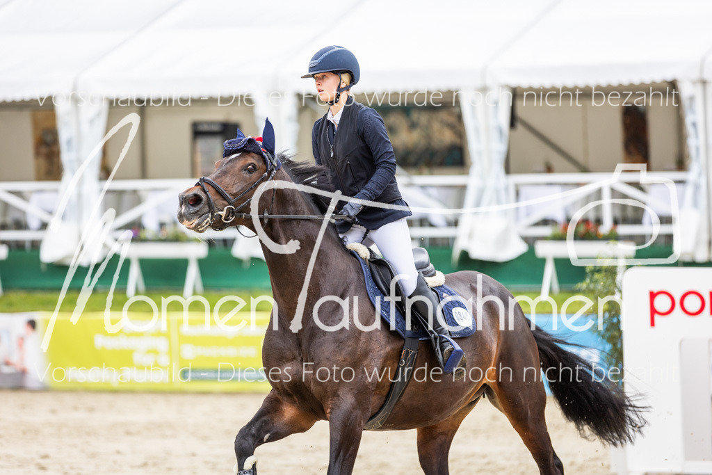 BHO-2PhSpr-M-5-2404 | MomenTaufnahmen Pferdesportfotos