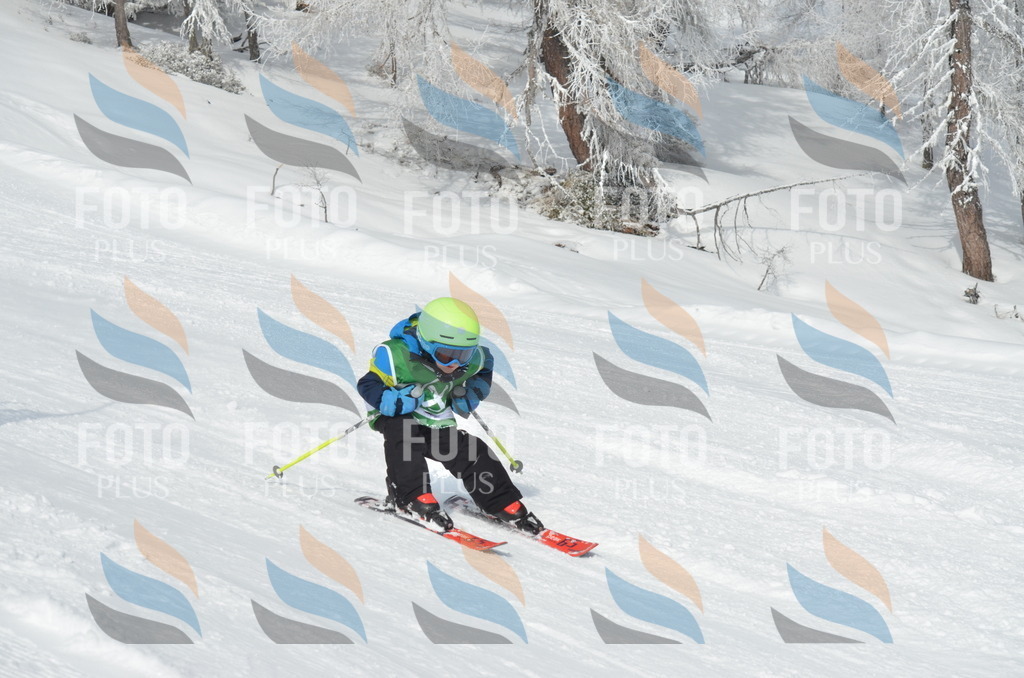 D8469 | holidayphoto