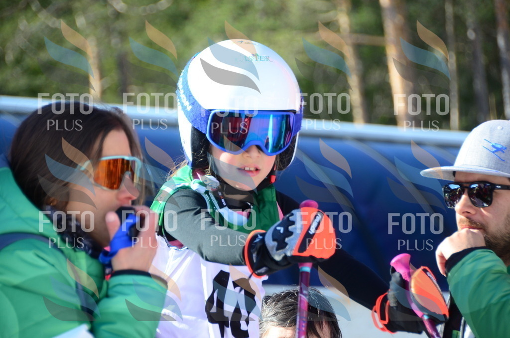 C5038 | holidayphoto