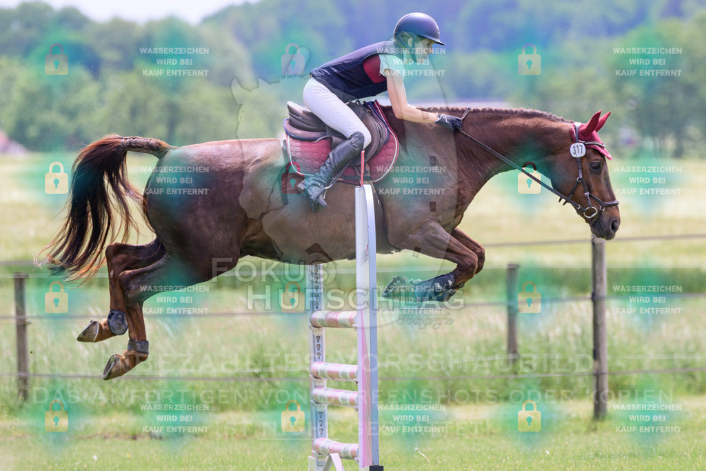30052026-Forstinning-Prfg23-0077 | Fokus Hufschlag Fotografie - Realisiert mit Pictrs.com