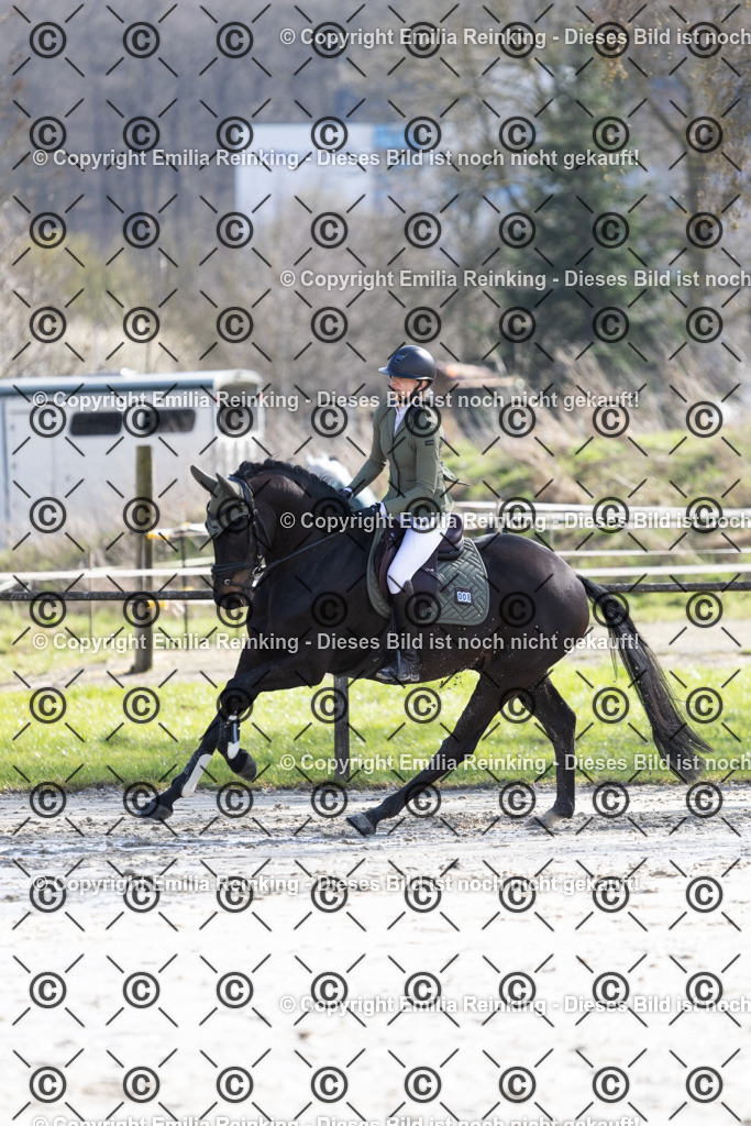 CL5A8542 | Emilia Reinking Fotografie - Realisiert mit Pictrs.com