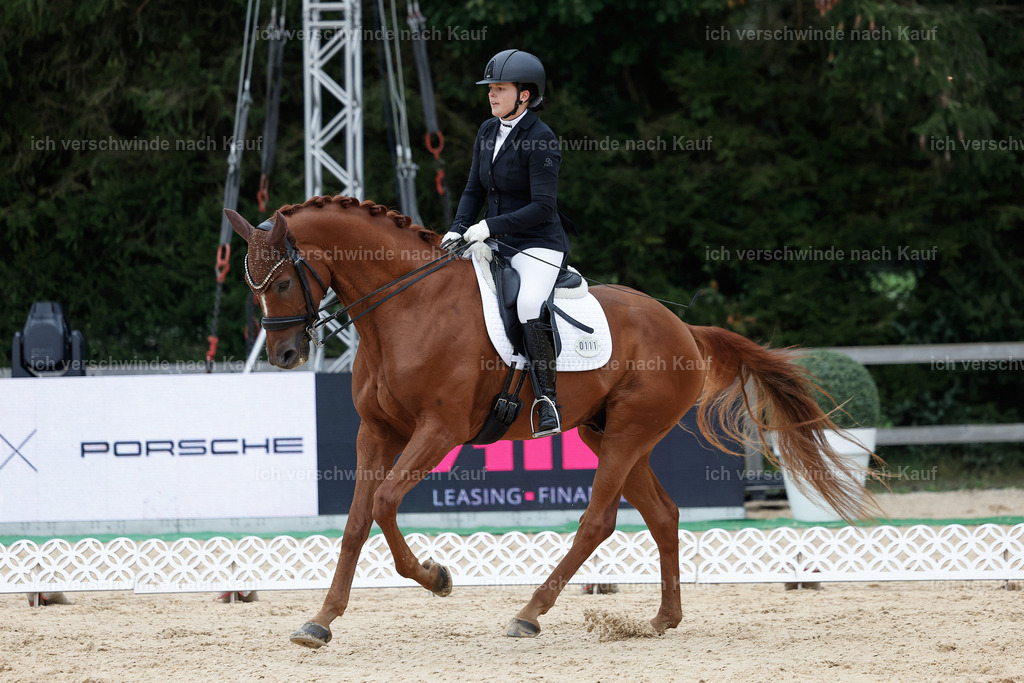 3-111-Dressur M_-StoibPH-2307 | working equitationturnier fotograf videograf stoibphotography marixx film working equitation deutschland reitsport turnierfotografie eventfotografie equestrian events