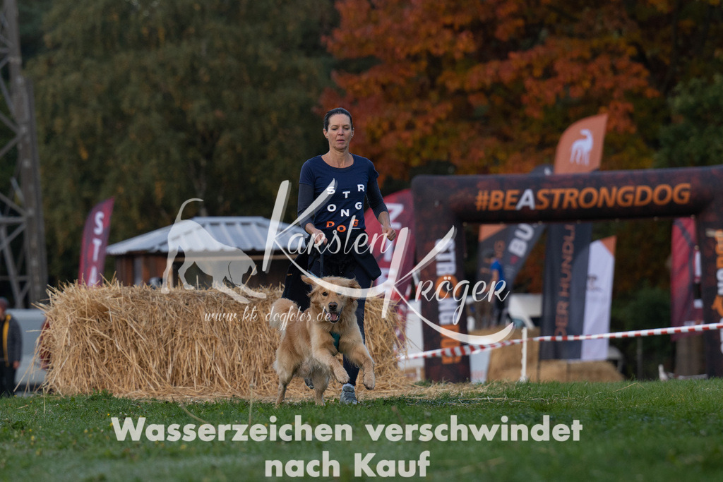 0905_ZZ92438 | kk-dogfotos