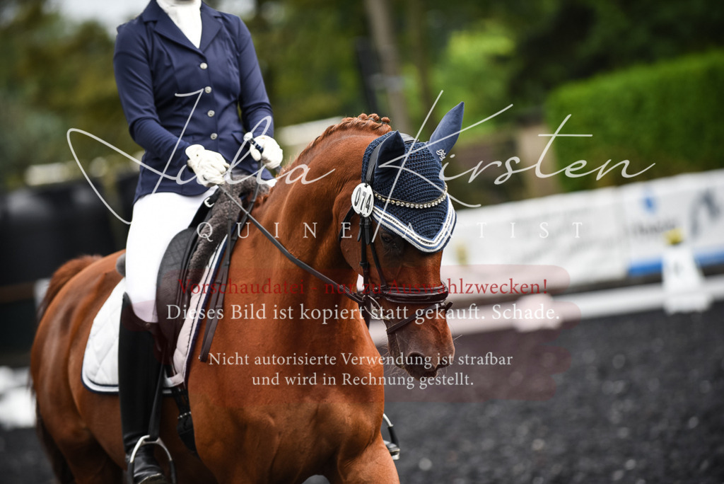 DSC_2901 | Pferde- und Turnierfotografie in Westsachsen. Pferdeportraits, Auftragszeichnungen und intuitive Kunst.