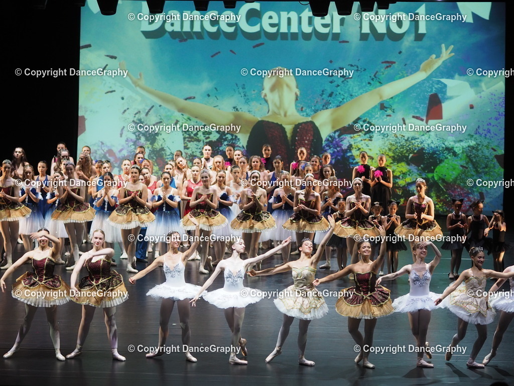 P7260488 | DanceGraphy - Realisiert mit Pictrs.com