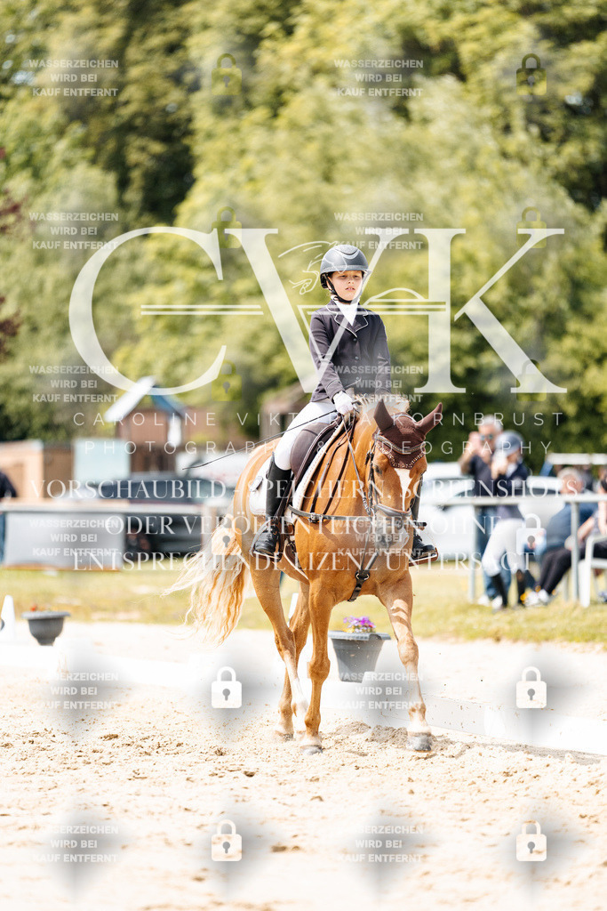 CK902449 | Turnierfotografie Pferdefotografie Trier Rheinland-Pfalz Pferdesport Reitsport Tierfotografie Sportfotografie Pferdevideo Pferdevideografie Equestrianvideography equestrianphotography  - Realisiert mit Pictrs.com