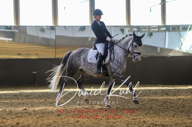 IMG_2516 | Turniersportfotografie; Pferdefotografie; Dressurfotografie