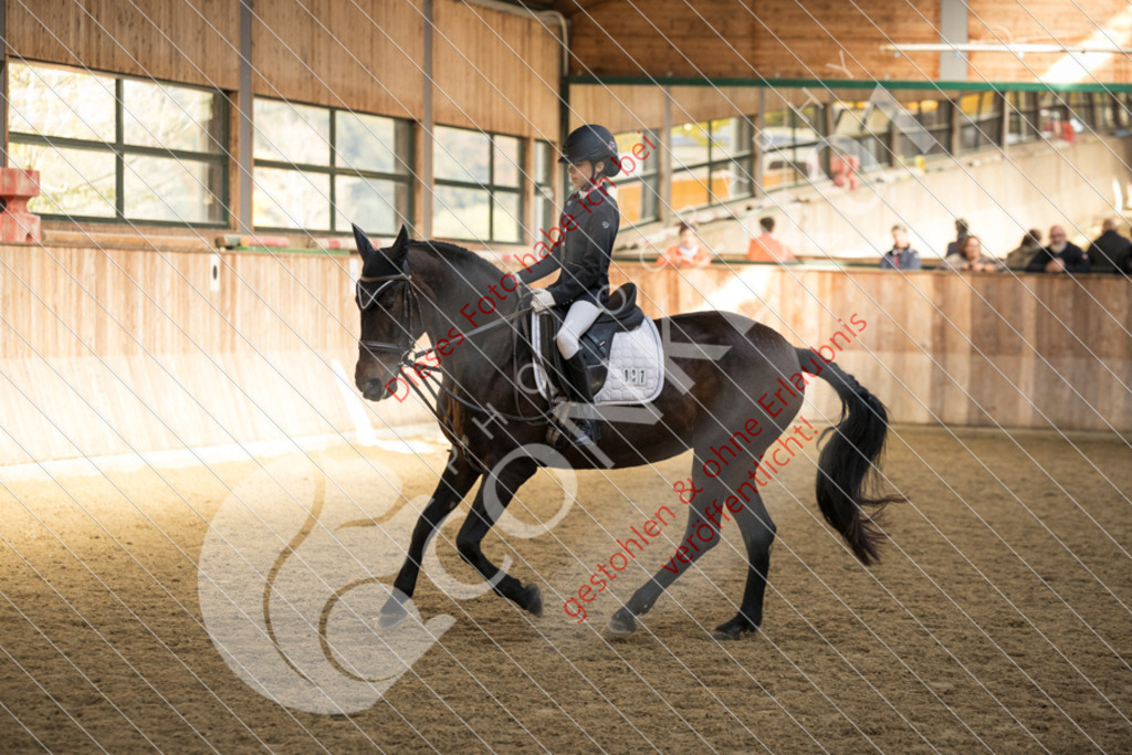 CON_6064 | Sport-, Event- und Tierfotos in Profiqualität. Einfach auswählen, bestellen und herunterladen. Dein Moment – perfekt festgehalten.