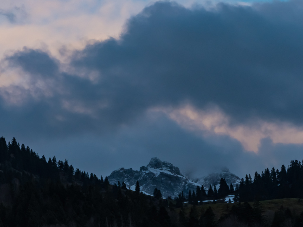 PSX_20230331_232624 | mtkfoto_ - Realisiert mit Pictrs.com